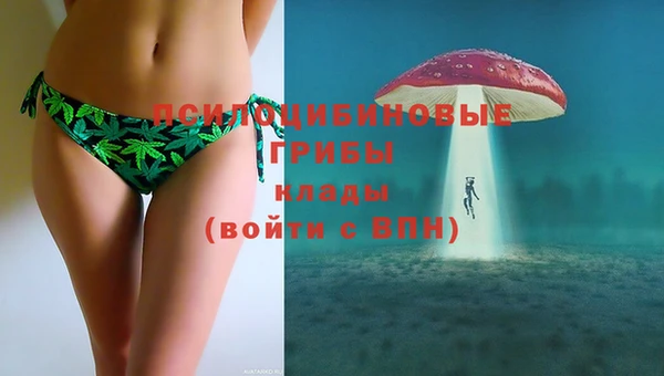 твердый Алзамай