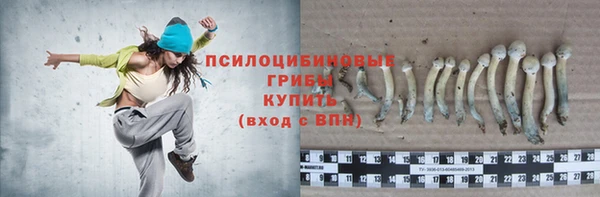 спайс Алексин