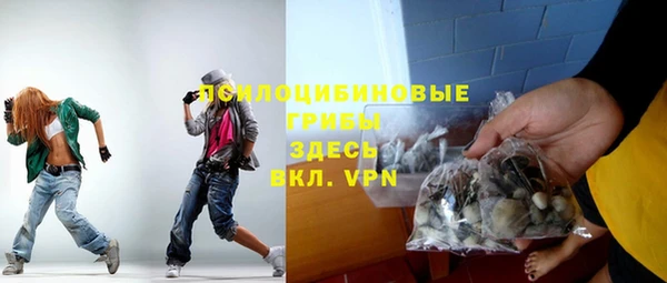 твердый Алзамай