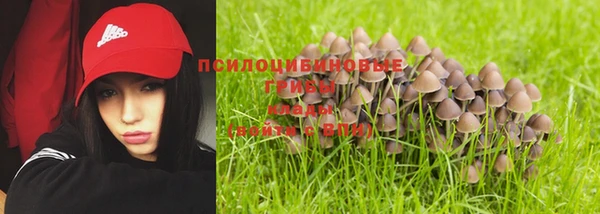 твердый Алзамай