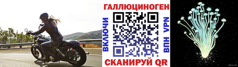 даркнет какой сайт  блэк спрут вход  Березники  хочу   Галлюциногенные грибы прущие грибы 